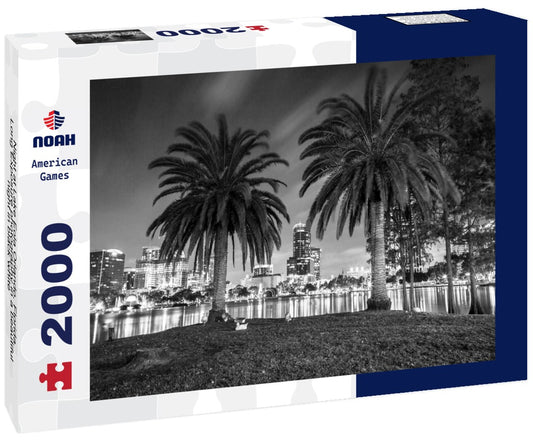 Noah Jigsaw Puzzle Night at Lake Eola Orlando, Florida. Long Exposure photography in a beautiful night in black white 2000 pieces