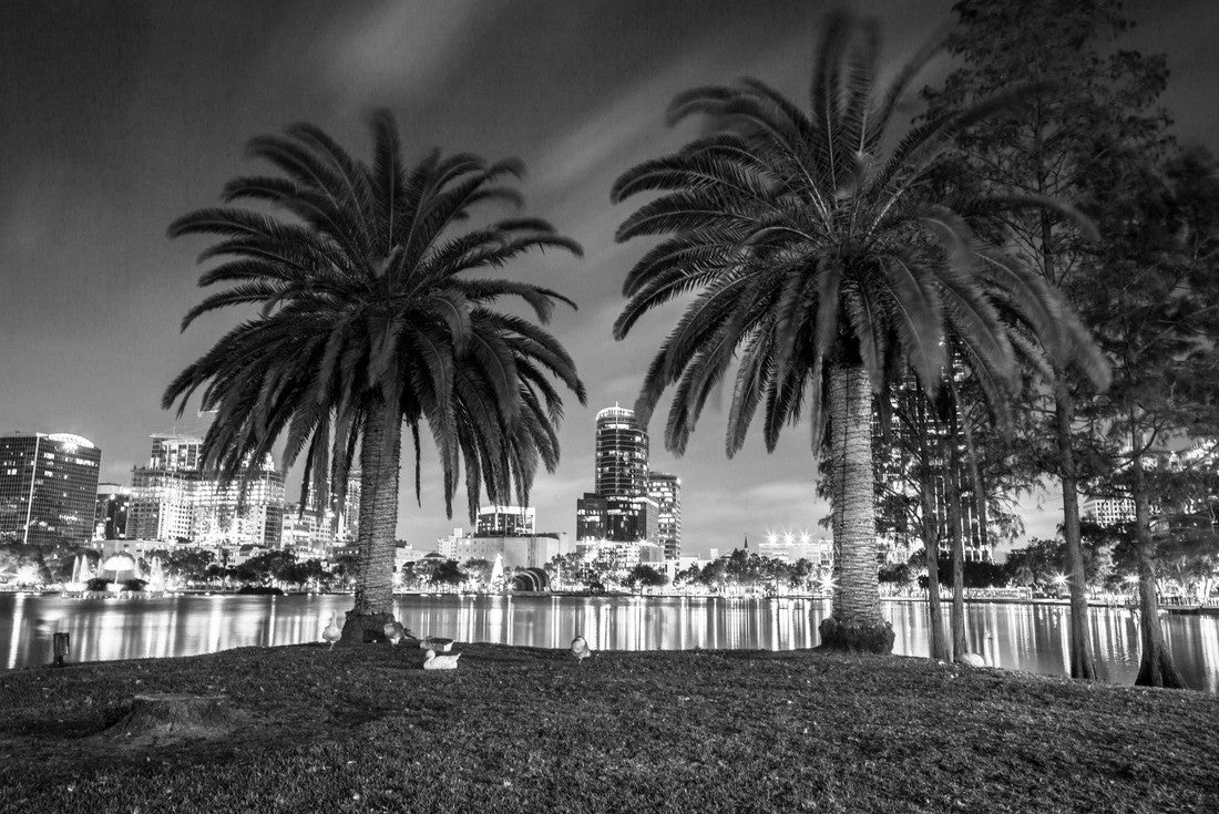 Noah Jigsaw Puzzle Night at Lake Eola Orlando, Florida. Long Exposure photography in a beautiful night in black white 2000 pieces