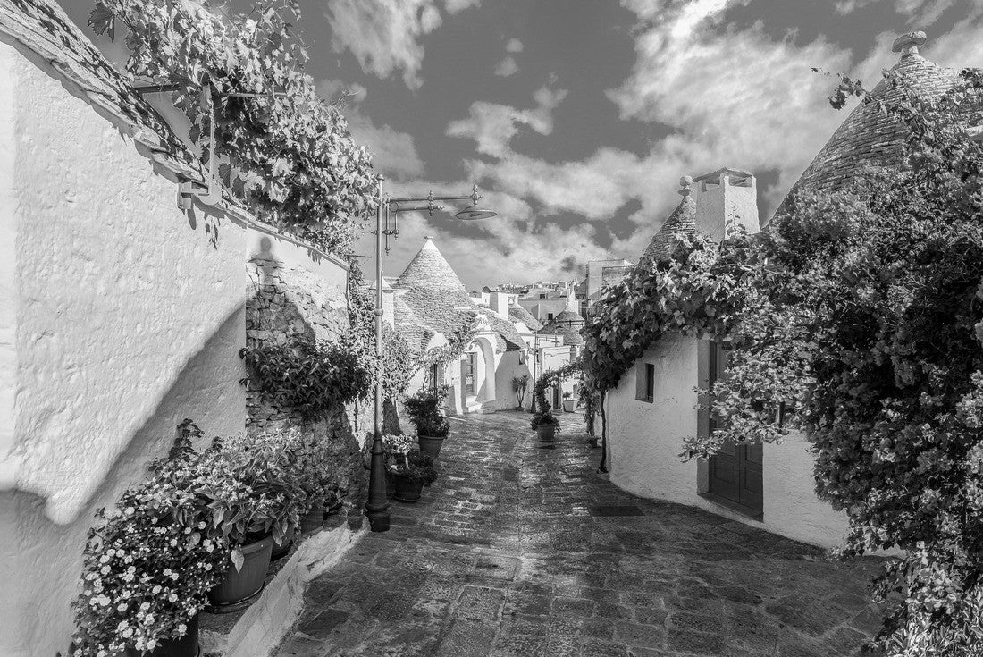 Trulli houses in Alberobello, Apulia, Italy 2000pc PuzzleBlack and White