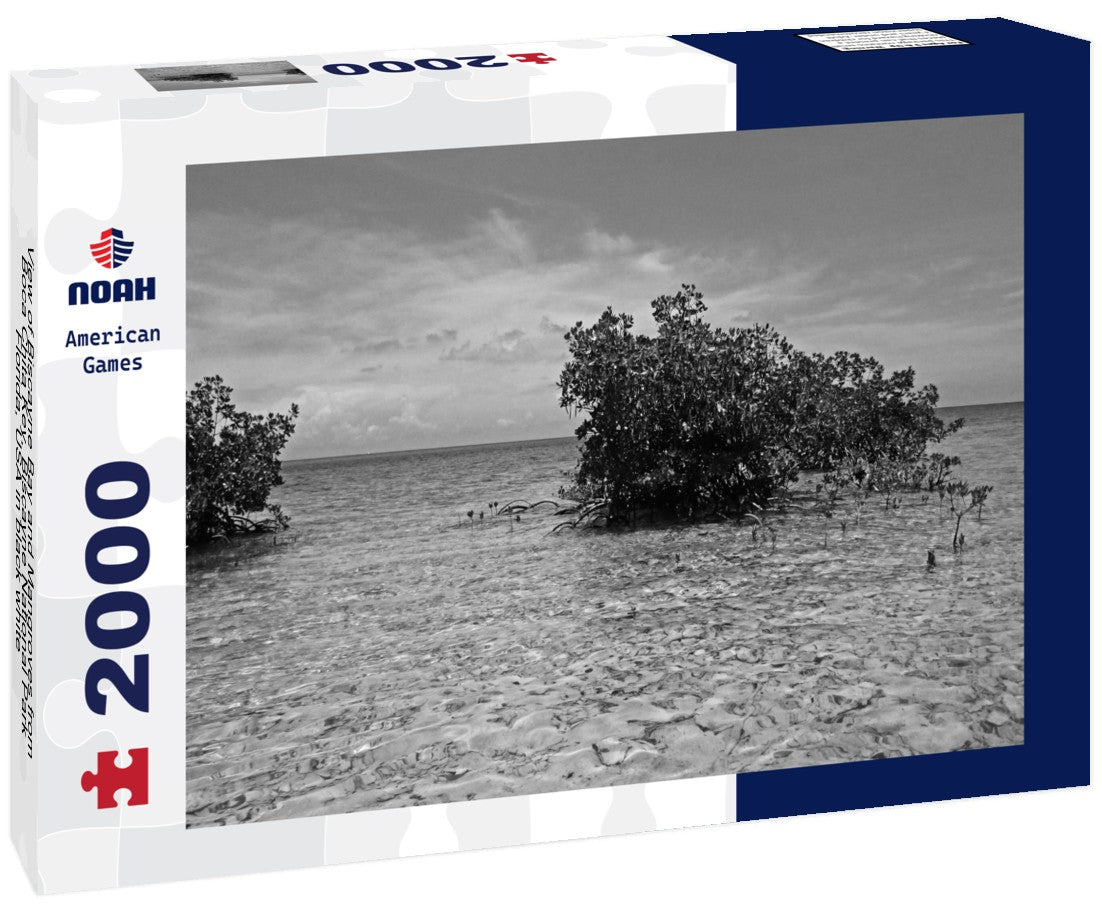 Noah Jigsaw Puzzle View of Biscayne Bay and Mangroves from Boca Chita Key, Biscayne National Park, Florida, USA in black white 2000 pieces