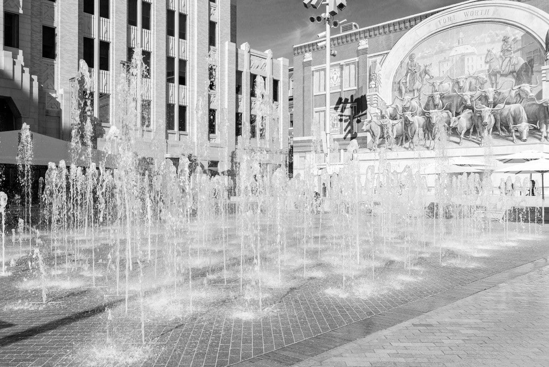 City of Fort Worth in Texas 2000pc PuzzleBlack and White