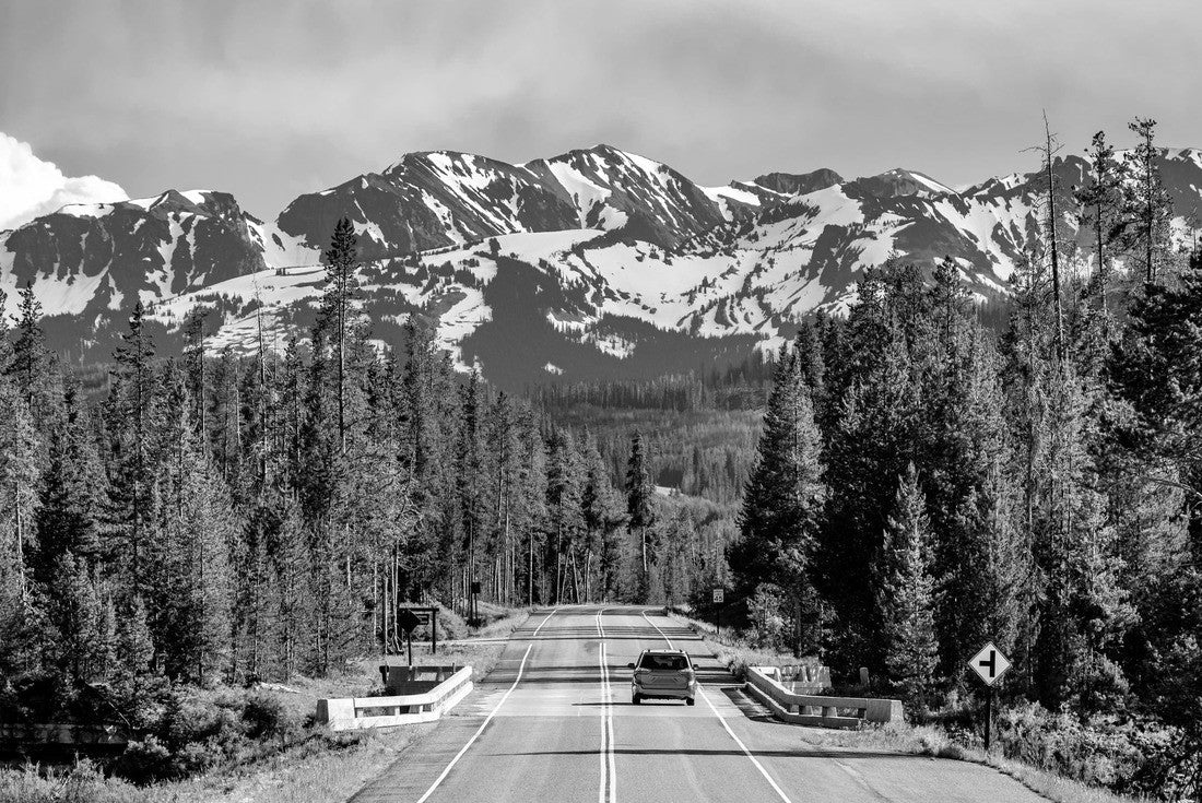 Noah Jigsaw Puzzle Road from Yellowstone National Park to Grand Teton National Park, Wyoming, USA in black white 2000 pieces