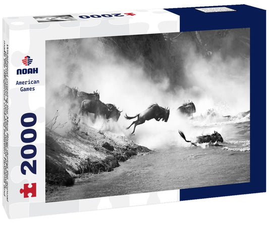 Noah Jigsaw Puzzle Wildebeest crossing the Mara River during the annual great migration. Every year, millions of animals make the dangerous crossing between Tanzania and the Masai Mara in Kenya in black white 2000 pieces