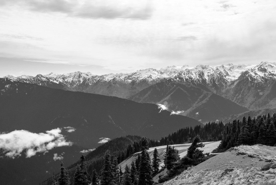 Olympic national park in Washington state in summer summer time is the best time to get to see a beautiful view 2000pc PuzzleBlack and White