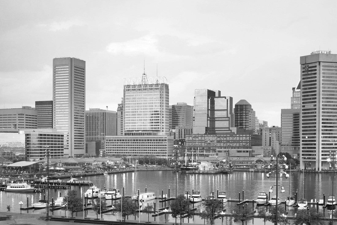 Noah Jigsaw Puzzle Downtown city skyline and Inner Harbor, Baltimore, Maryland, USA in black white 2000 pieces
