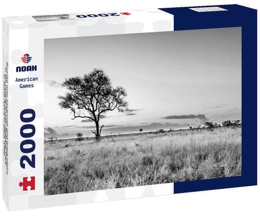 Noah Jigsaw Puzzle Sunrise over savannah and grass plains in the central Kruger National Park in South Africa in black white 2000 pieces