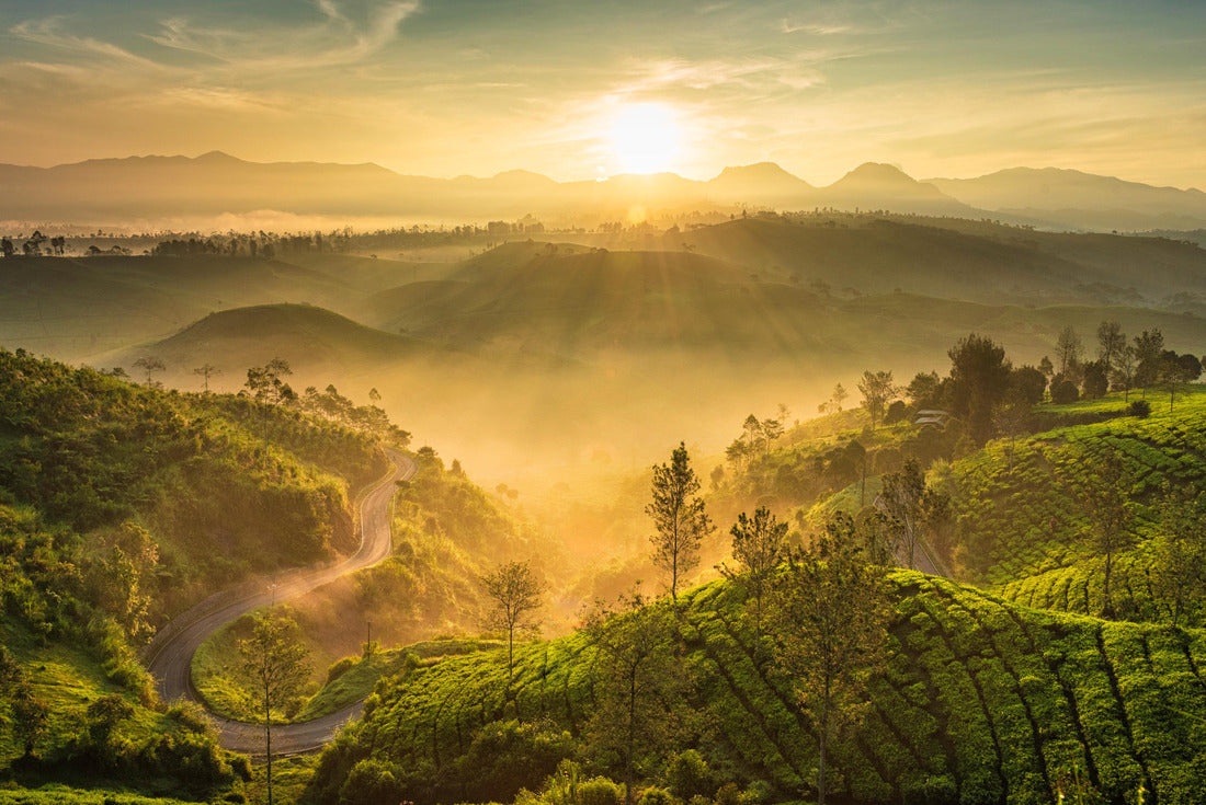 Foggy yet warm sunrise in Cukul Tea Garden, Bandung, Indonesia 2000pc Puzzle