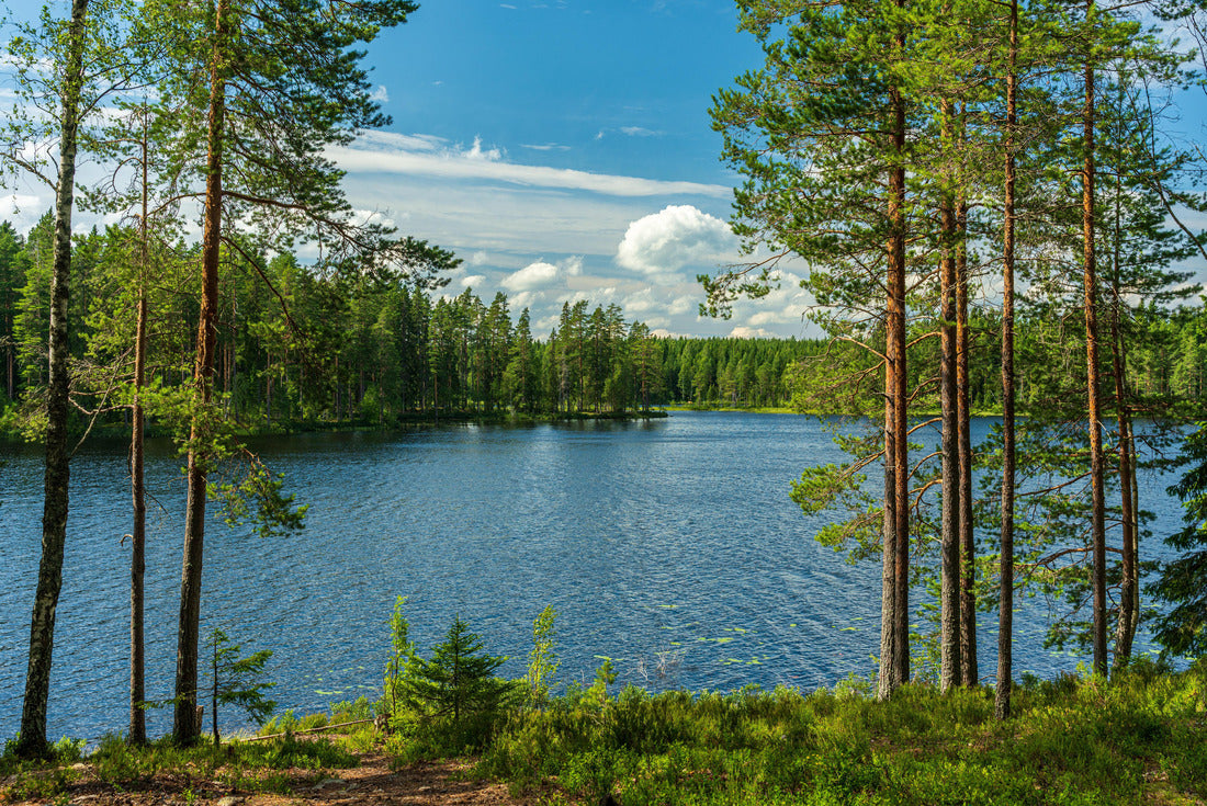 Noah Jigsaw Puzzle Beautiful view of the lake from a small lake in Sweden, with lush green trees, blue sky and sunlight 2000 pieces