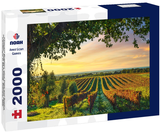 Noah Jigsaw Puzzle Vineyard Bolgheri, olive trees and flowers at sunset. Tree as a frame, autumn season. Landscape in Maremma, Tuscany, Italy 2000 pieces