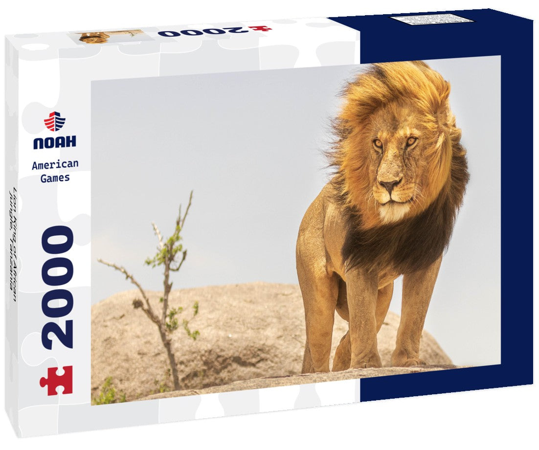 Noah Jigsaw Puzzle Lion King of African jungle, Tanzania 2000 pieces
