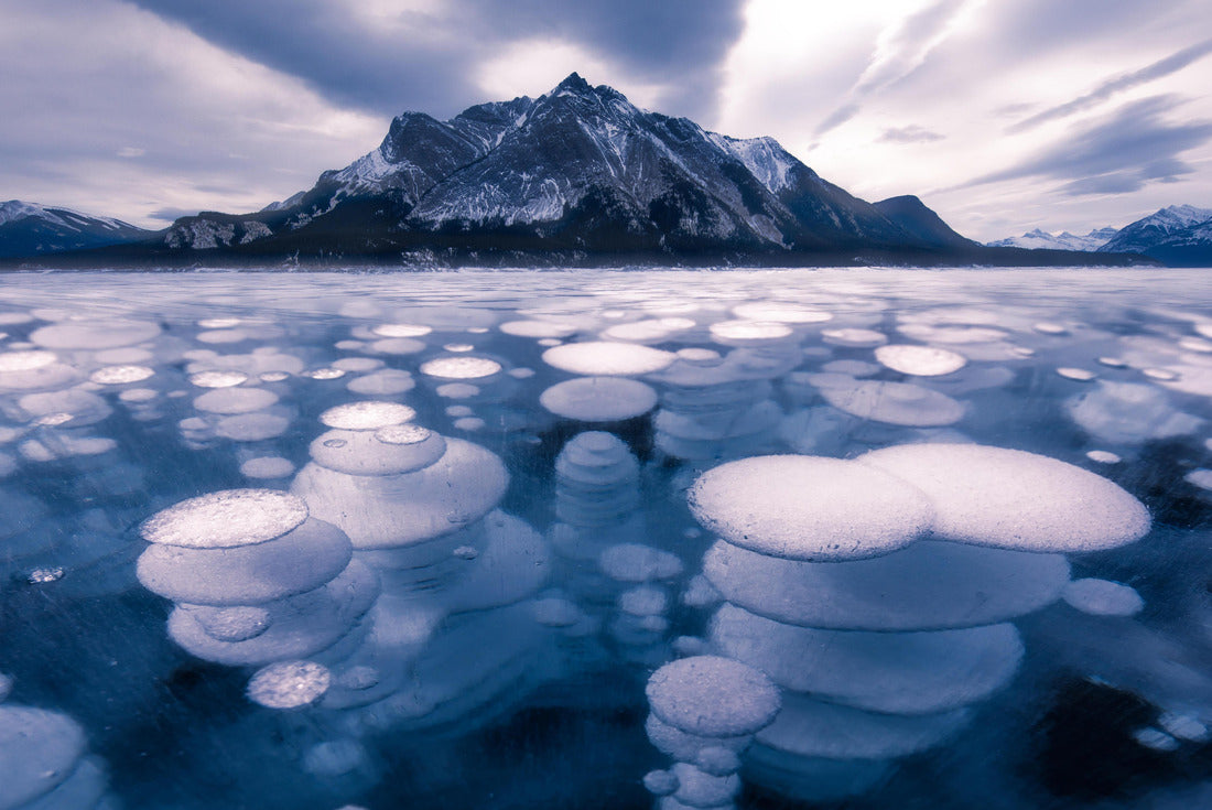 Ice formation bubbles at Abraham Lake 2000pc Puzzle