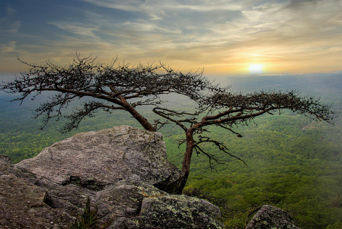 Sunrise at Cheaha State Park, Talladega National Forest, Alabama, USA 2000pc Puzzle