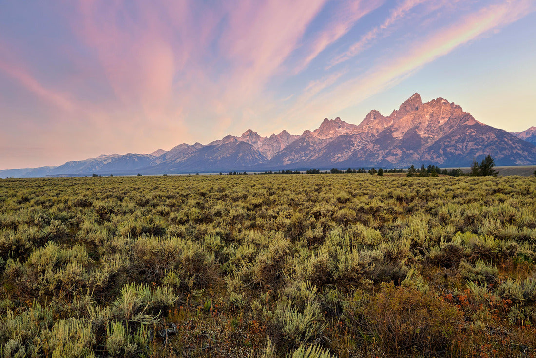 Sunrise at the Grand Teton National Park. Wyoming. United States 2000pc Puzzle
