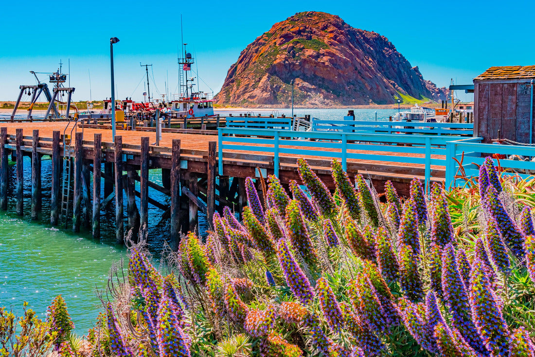 Morro Rock rising out of Morro Bay in San Luis Obispo County in California. A horseman rides past 2000pc Puzzle