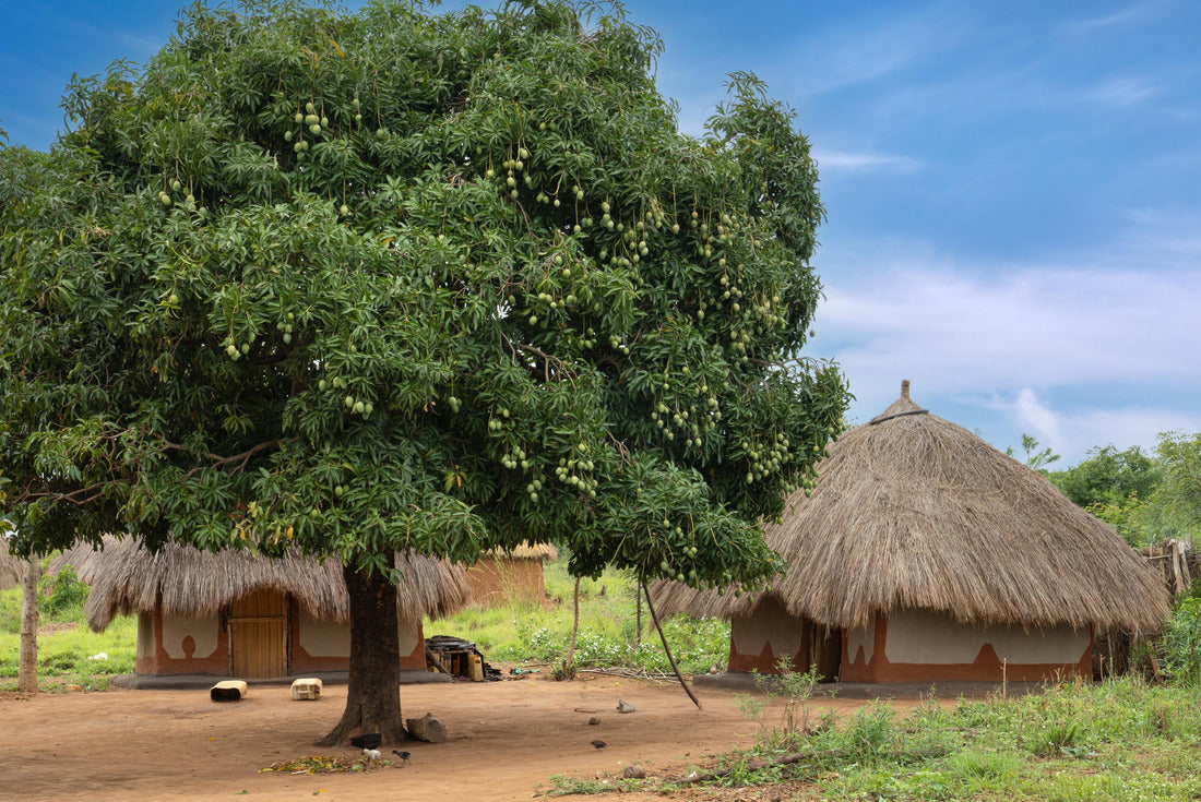 Noah Jigsaw Puzzle Typical African village, Uganda, East Africa 2000 pieces