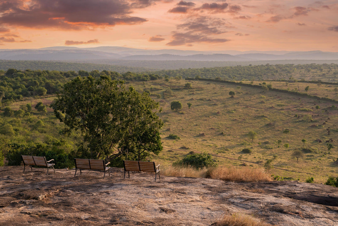 Noah Jigsaw Puzzle Panoramic view of the landscape of Lake Mburo National Park, Uganda 2000 pieces