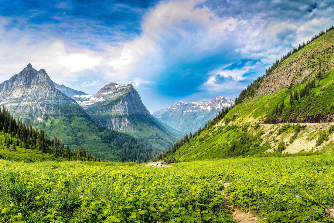 Majestic view over the Glacier National Park from the Going to sun road, Montana 2000pc Puzzle