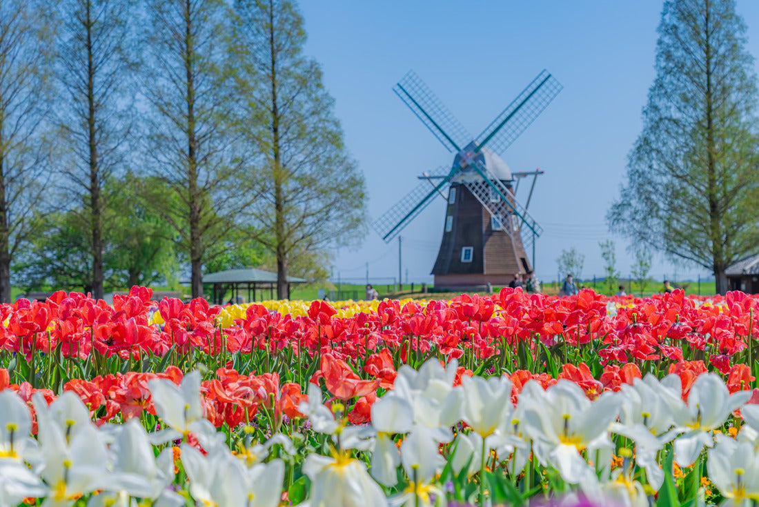 The landscape in springtime of Japan in springtime, the cityscape of Akebonoyama agricultural park in Kashiwa, Chiba 2000pc Puzzle