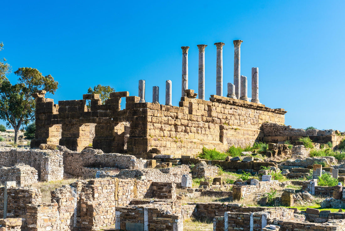 Noah Jigsaw Puzzle Thuburbo Majus large Roman site in northern Tunisia 2000 pieces