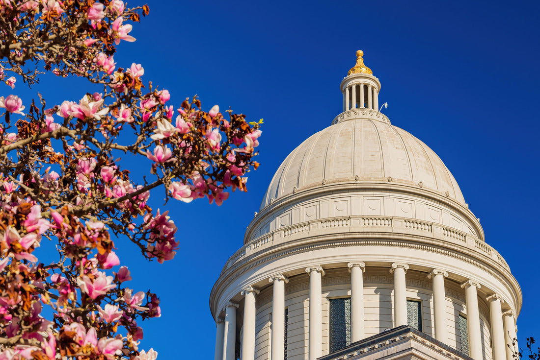Sunny view of the State Capitol building with magnolia blossom in Arkansas 2000pc Puzzle