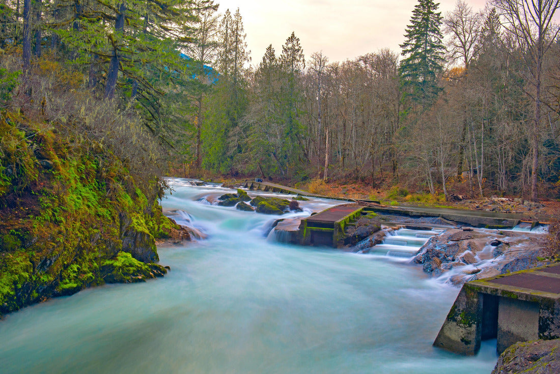 Stamp River Falls with salmon ladder in Port Alberni, Vancouver Island, Canada 2000pc Puzzle