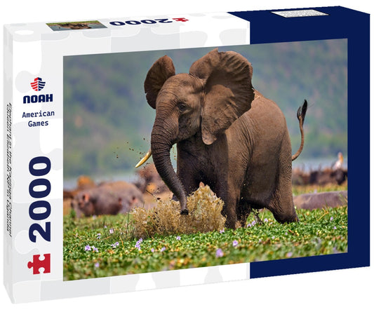 Noah Jigsaw Puzzle Elephant in the Kazinga Channel Queen Elizabeth NP in Uganda 2000 pieces