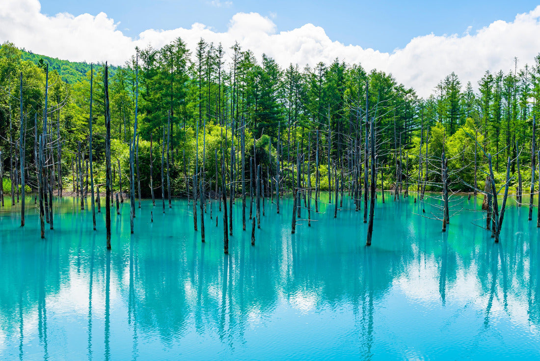 Shirogane Blue Pond in summer, Biei Town, Hokkaido, Japan 2000pc Puzzle