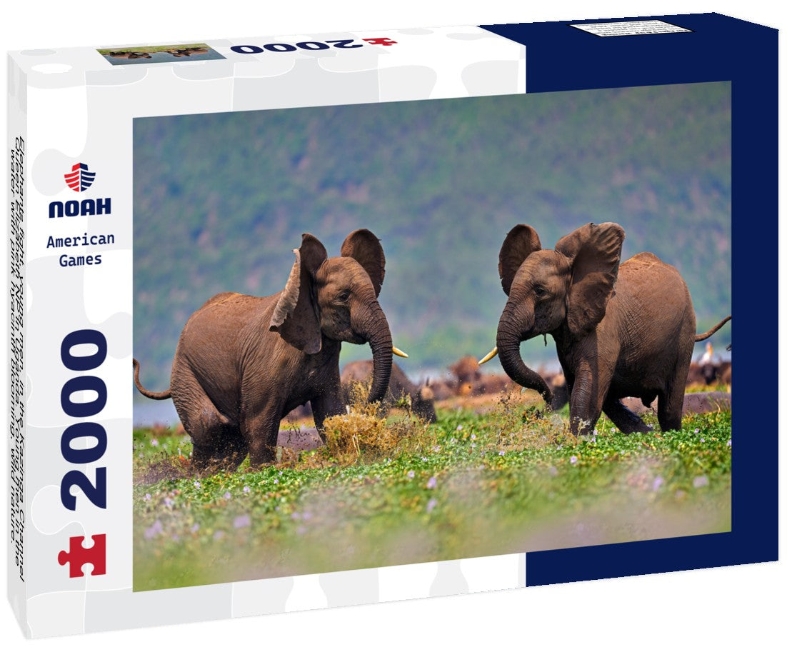 Noah Jigsaw Puzzle Elephants fight, young men, in the Kazinga Channel Queen Elizabeth NP in Uganda. Young men in the water with pink hyacinth blooming, wild nature. Wildlife Uganda. Elephant behavior 2000 pieces