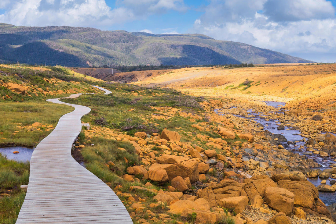 Noah Jigsaw Puzzle Boardwalk on Tablelands Trail, Gros Morne National Park, Newfoundland and Labrador, Canada 2000 pieces