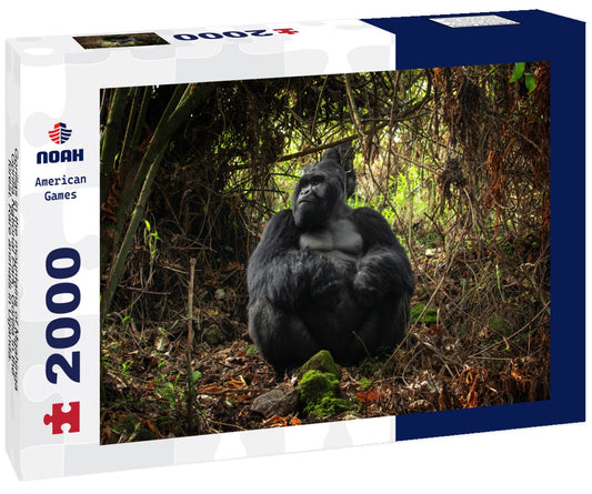 Noah Jigsaw Puzzle Gorillas in the mountains of Mgahinga Gorilla National Park. Gorilla in the forest. Rare animals in Uganda. Animals in their natural habitat 2000 pieces