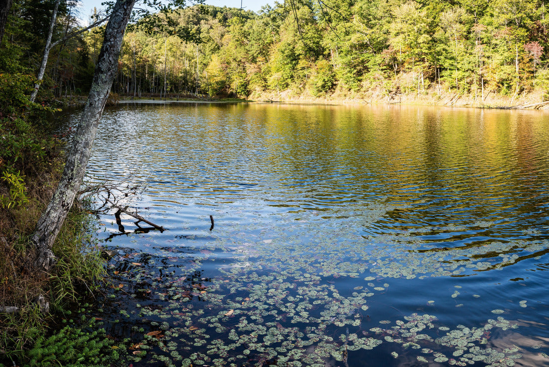 Noah Jigsaw Puzzle Panoramic view of Eagle Lake in Morehead, Kentucky in the fall 2000 pieces