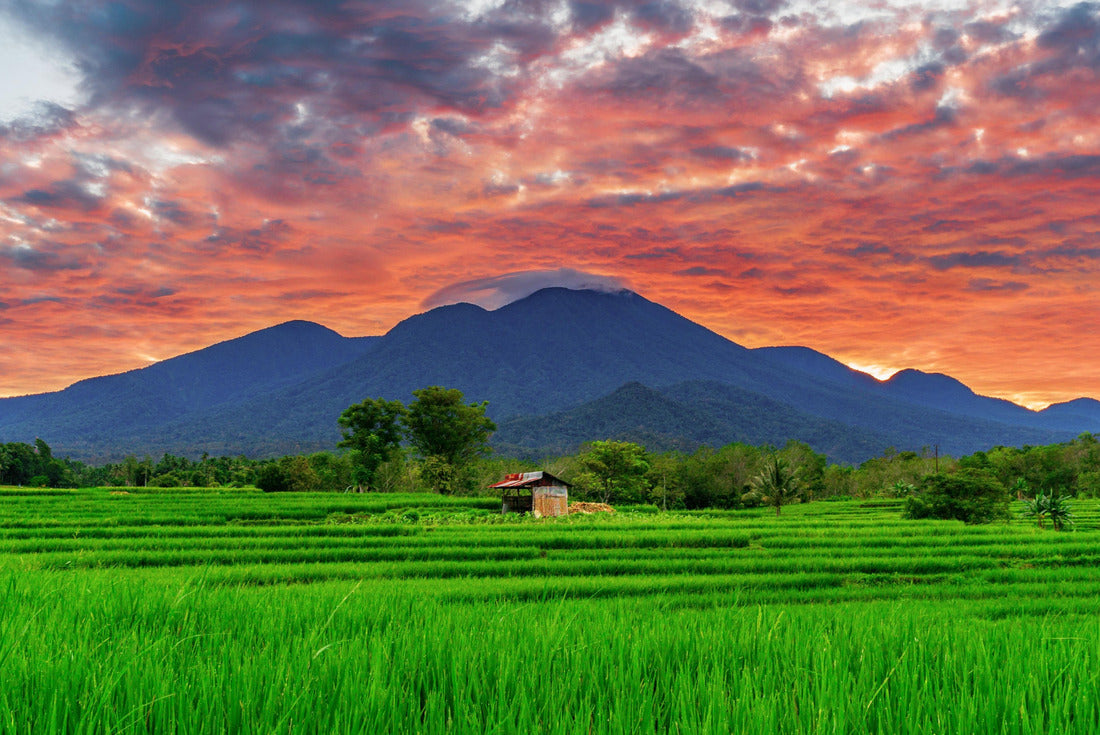 Asian scenery when the morning sun is beautiful over the mountains and green rice fields in the village of Kemumu, Bengkulu, Indonesia 2000pc Puzzle