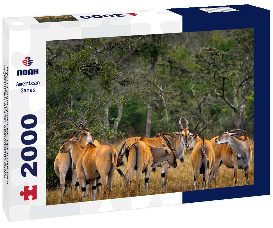 Herd of large antelopes, Mburo NP lake, Uganda in Africa. Taurotragus oryx, large brown African mammal in nature 2000pc Puzzle