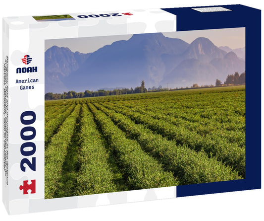 Noah Jigsaw Puzzle Blueberry field and mountains in the distance in British Columbia, blueberries ready for harvest. Blueberry farm in Vancouver 2000 pieces