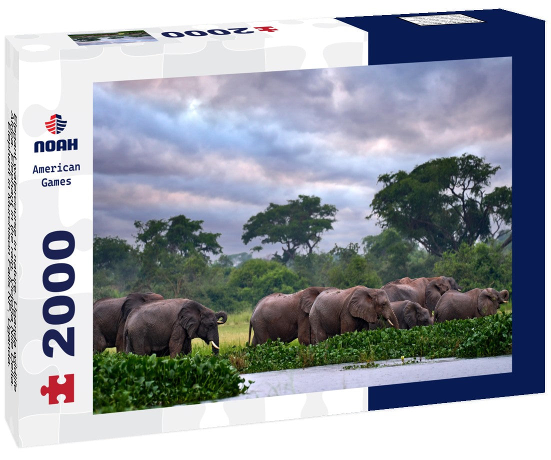 Elegant watercourse in nature. Uganda wildlife, Africa. Elephant in the rain, Victoria Nile Delta. Elephant in Murchison Falls NP, Uganda. Large mammal in green grass, forest vegetation 2000pc Puzzle