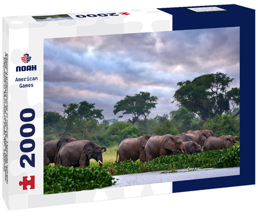 Noah Jigsaw Puzzle Elegant watercourse in nature. Uganda wildlife, Africa. Elephant in the rain, Victoria Nile Delta. Elephant in Murchison Falls NP, Uganda. Large mammal in green grass, forest vegetation 2000 pieces