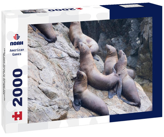Noah Jigsaw Puzzle Wild sea lions in Kenai Fjords National Park in Alaska 2000 pieces