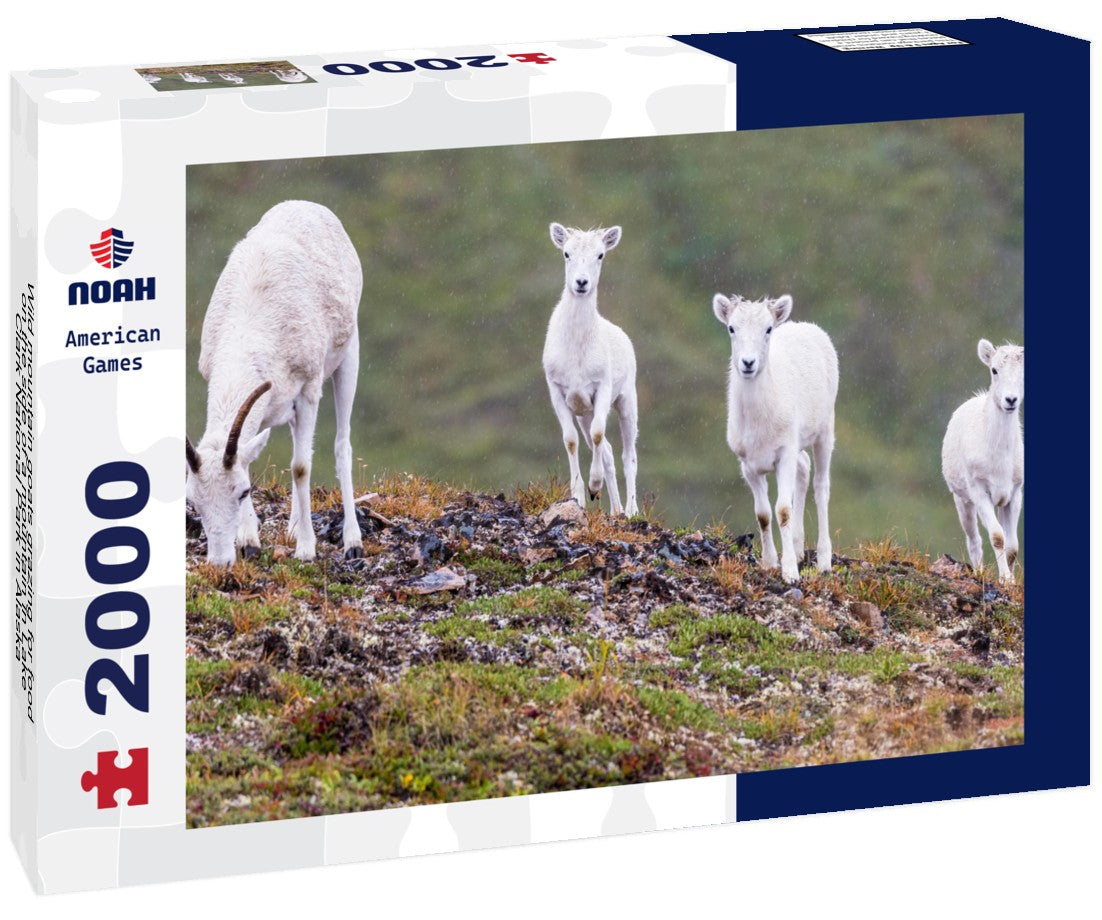 Noah Jigsaw Puzzle Wild mountain goats grazing for food on the side of a mountain in Lake Clark National Park in Alaska 2000 pieces