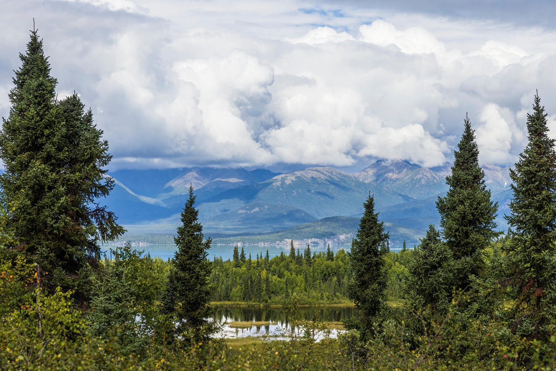 Beautiful landscape view of Lake Clark National Park near Port Alsworth in Alaska 2000pc Puzzle
