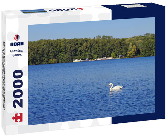 Noah Jigsaw Puzzle View of the Stienitzsee (Lake Stienitz) with a sweet swan in the federal state of Brandenburg, Germany 2000 pieces