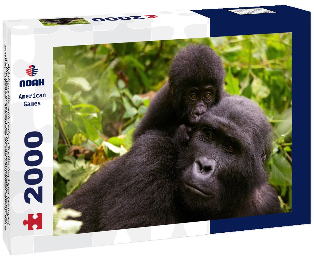 Adult gorilla with baby, Gorilla beringei beringei, in the lush greenery of the impenetrable forest of Bwindi, Uganda. Members of the Muyambi family have inhabited a group of the conservation program 2000pc Puzzle