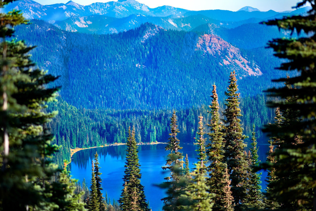 Noah Jigsaw Puzzle Mount Rainier National Park, Washington State 2000 pieces