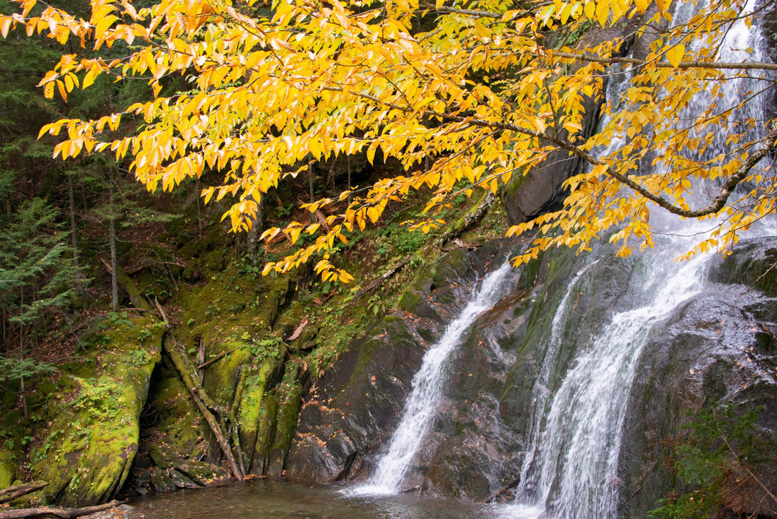USA, Vermont, Fall foliage in Mad River Valley along trail to Warren Falls 2000pc Puzzle