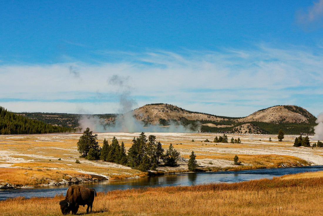 Noah Jigsaw Puzzle Yellowstone National Park, USA, Bison, buffalo, Steam, Old Faithful, Yellowstone River 2000 pieces