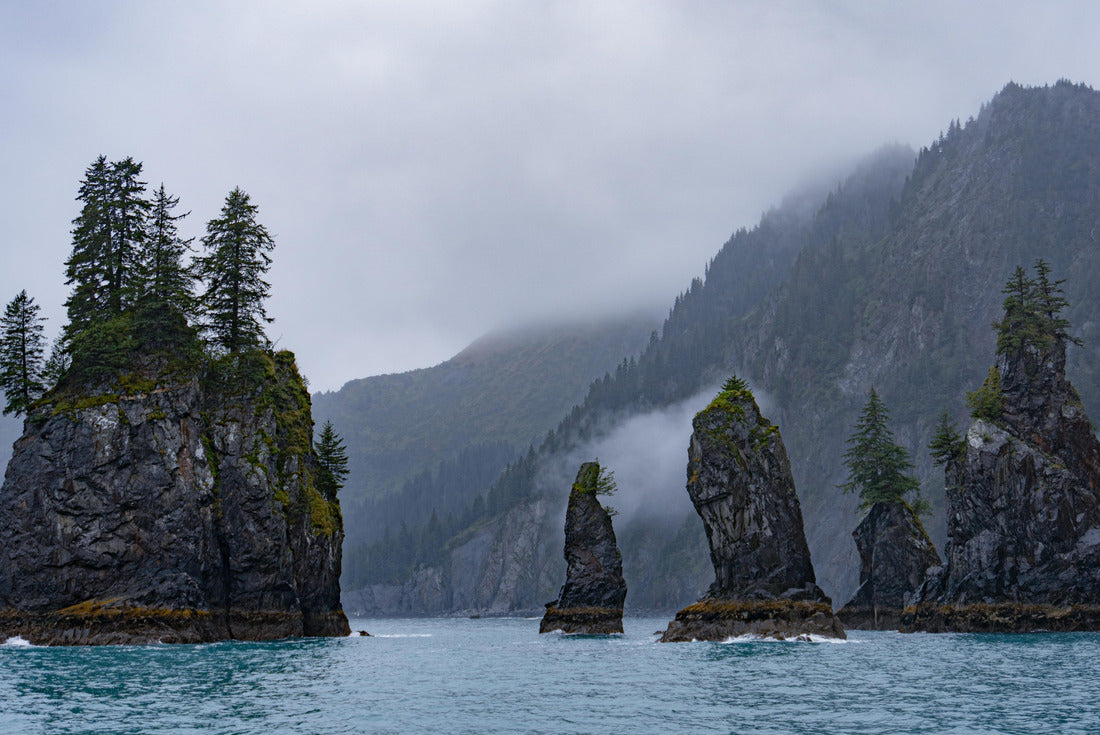 Noah Jigsaw Puzzle Sea Stacks, Kenai Fjords National Park, Alaska 2000 pieces