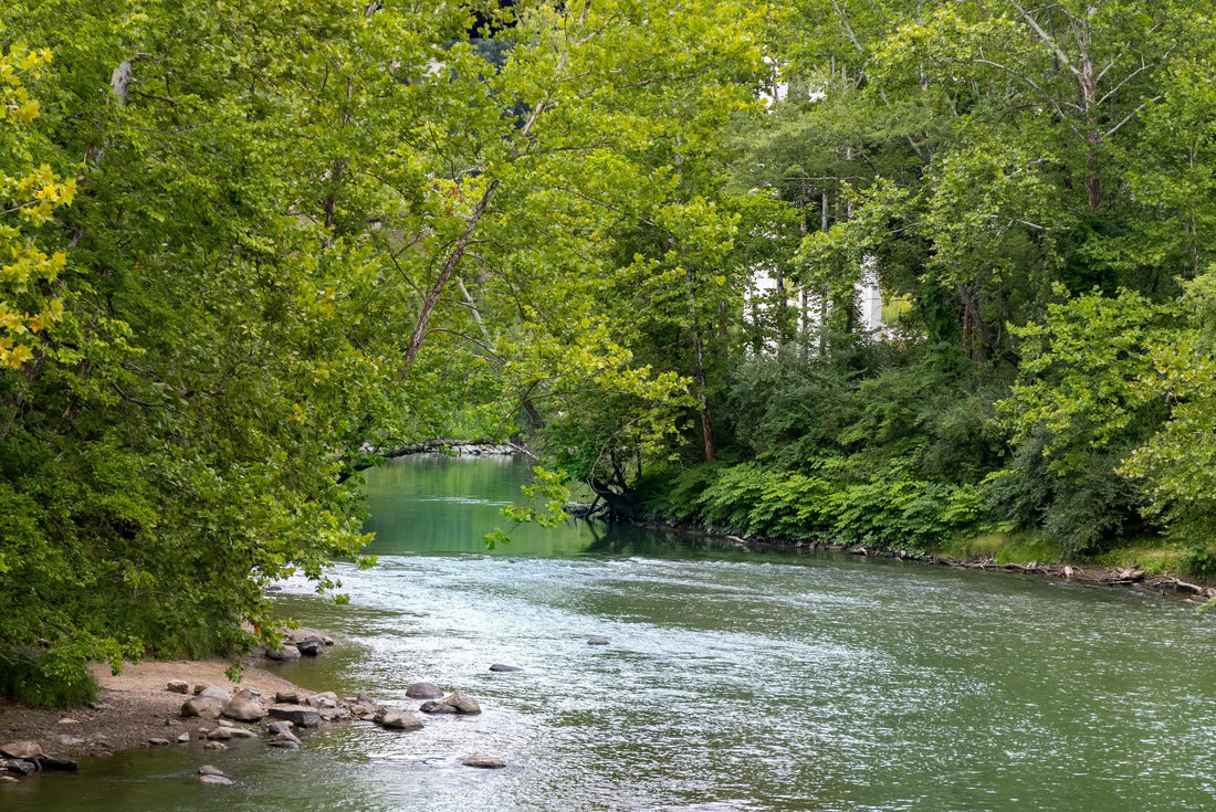 Lush green trees by the Cuyahoga riverside at Cuyahoga valley national park, Ohio 2000pc Puzzle