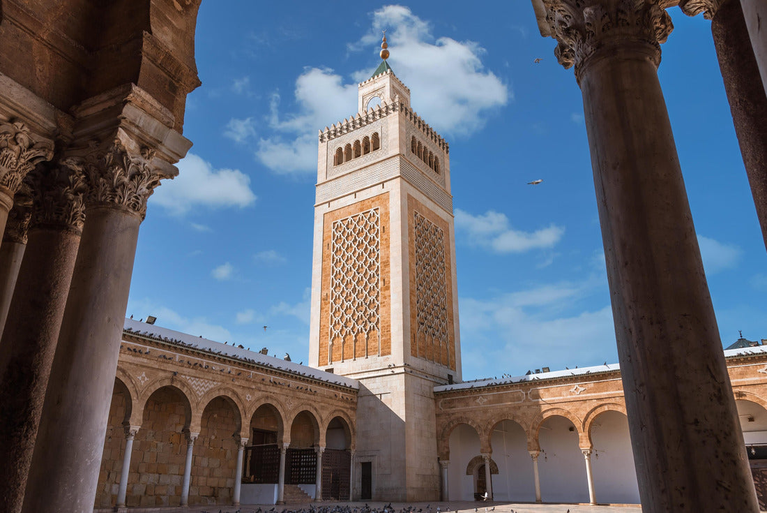 Noah Jigsaw Puzzle the great mosque of the old city, Tunis, Tunisia 2000 pieces