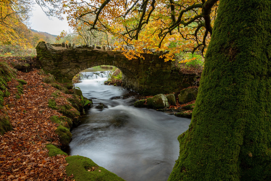 The Weir Water river flowing under Robbers Bridge in Exmoor National Park in autumn 2000pc Puzzle