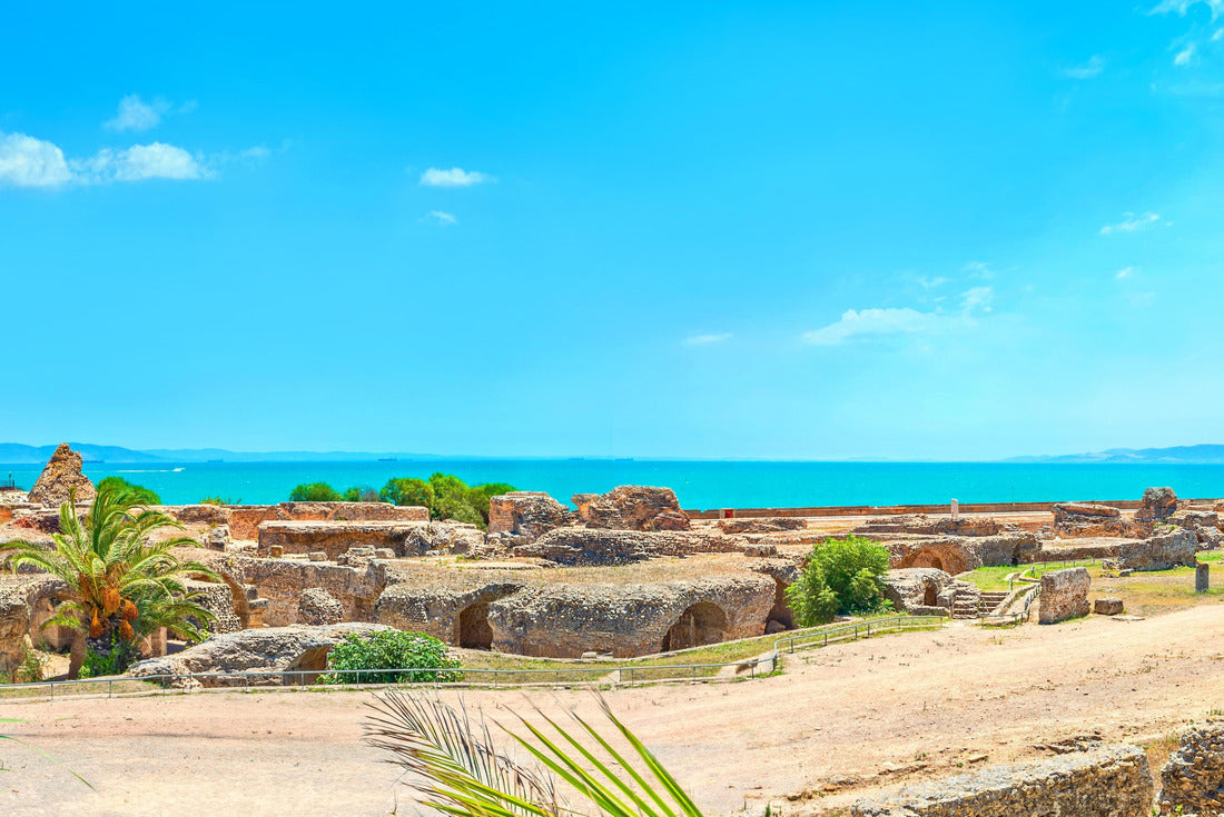 Noah Jigsaw Puzzle Panoramic view of ancient ruins with thermal baths in Carthage. Tunisia, North Africa 2000 pieces