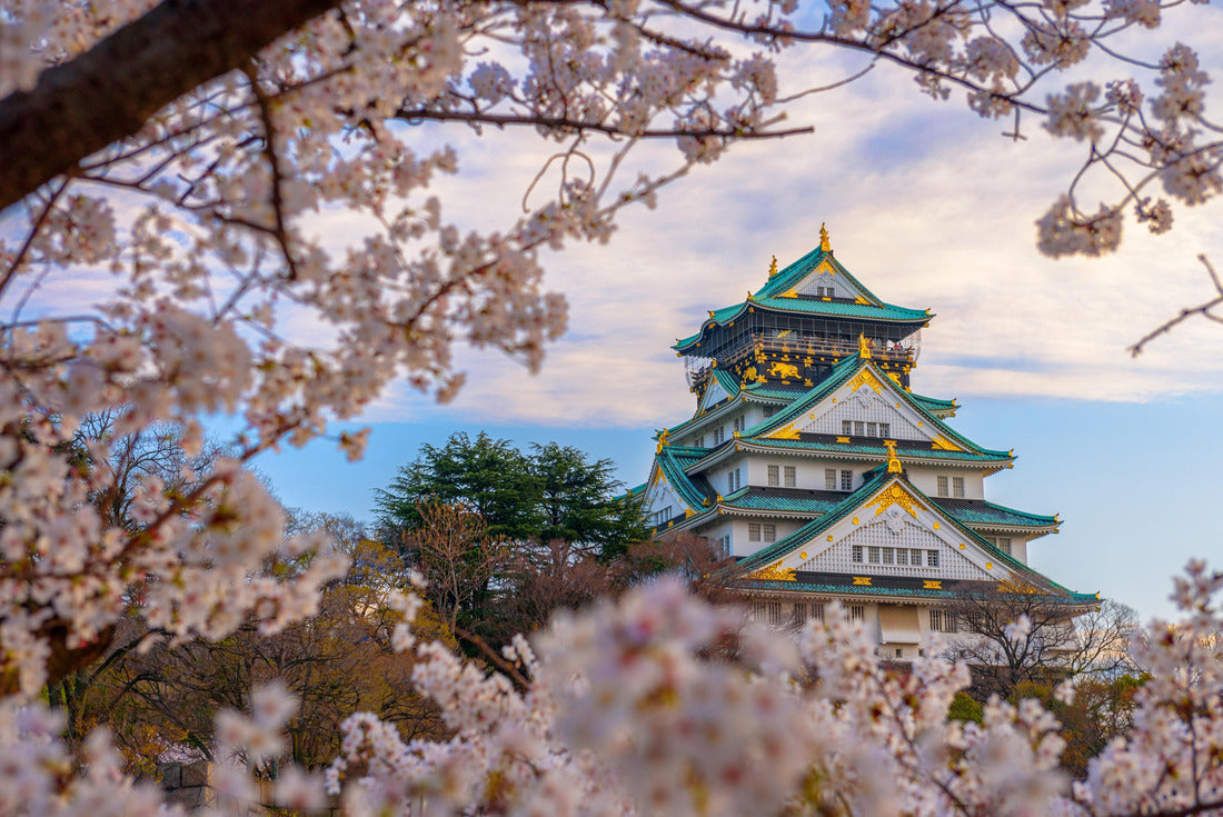 Osaka, Japan at Osaka Castle during spring season in the afternoon 2000pc Puzzle